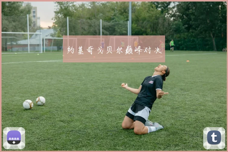 约基奇戈贝尔巅峰对决