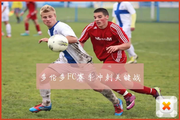 多伦多FC赛季冲刺关键战