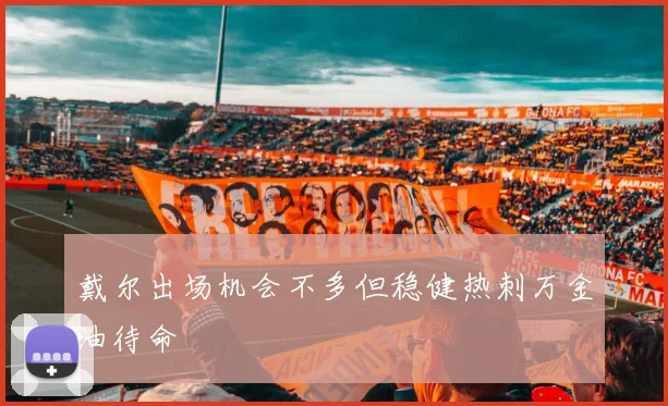 戴尔出场机会不多但稳健热刺万金油待命