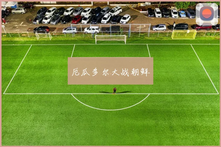厄瓜多尔大战朝鲜