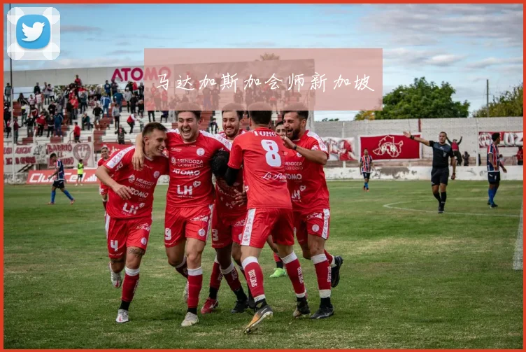 马达加斯加会师新加坡