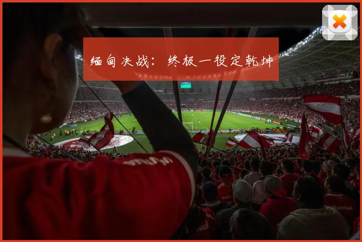 缅甸决战：终极一役定乾坤
