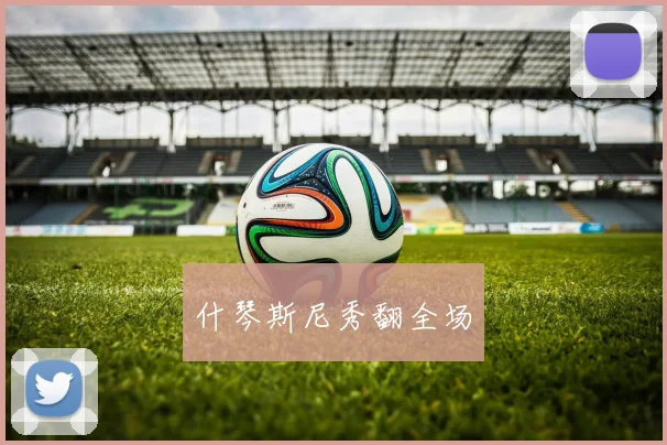什琴斯尼秀翻全场