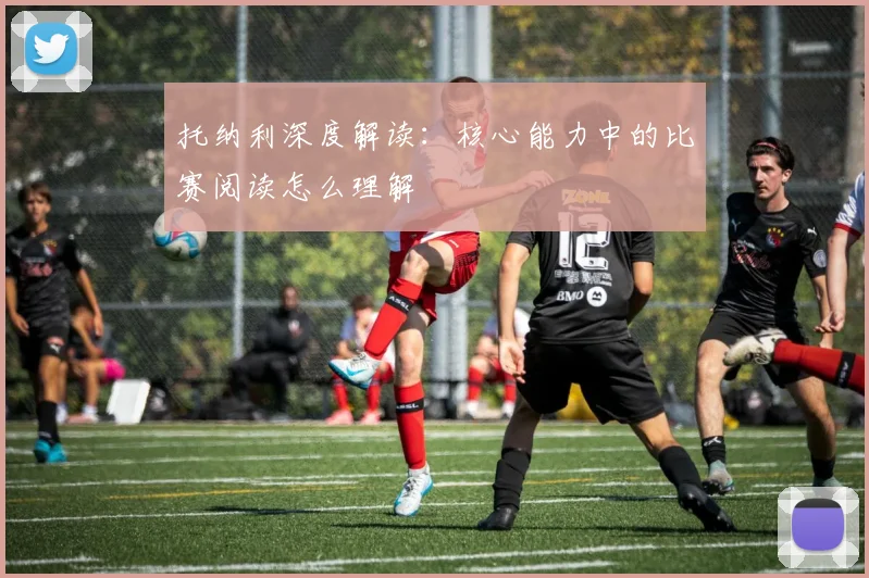 托纳利深度解读:核心能力中的比赛阅读怎么理解