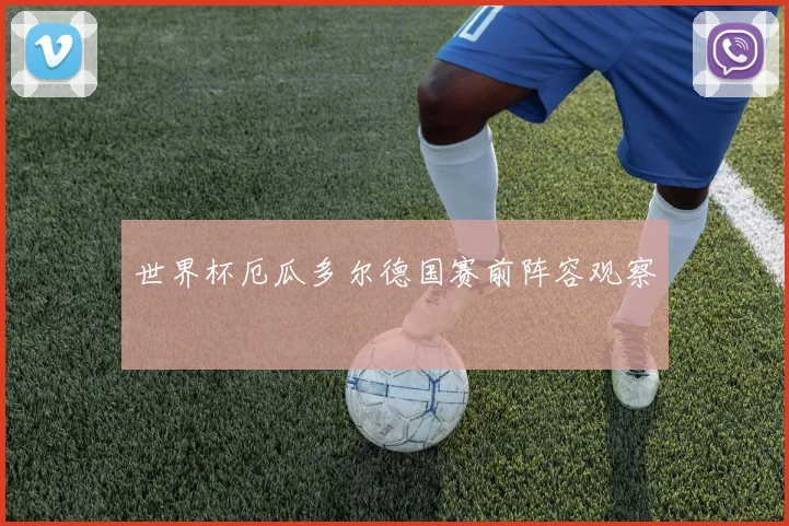 世界杯厄瓜多尔德国赛前阵容观察