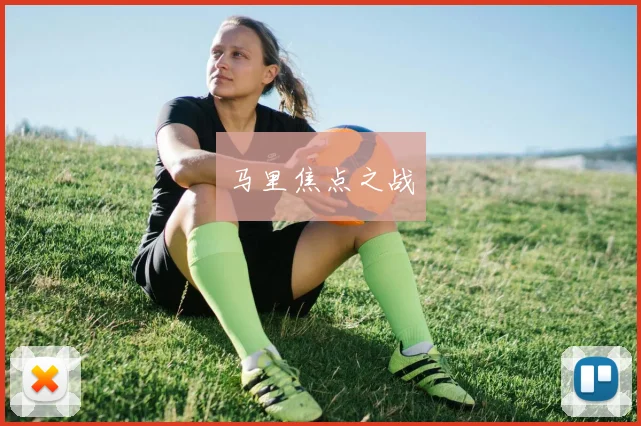 马里焦点之战
