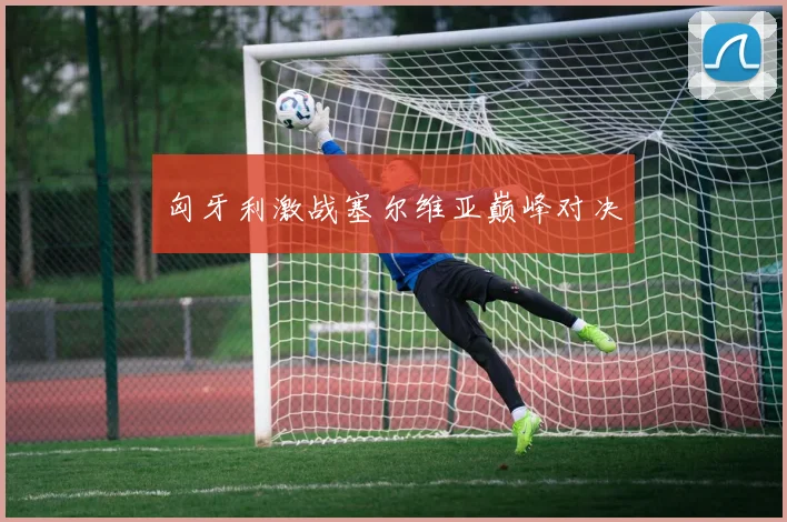 匈牙利激战塞尔维亚巅峰对决