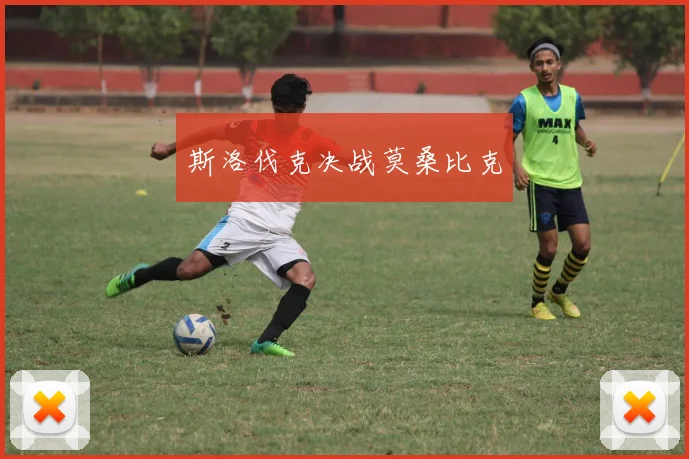 斯洛伐克决战莫桑比克
