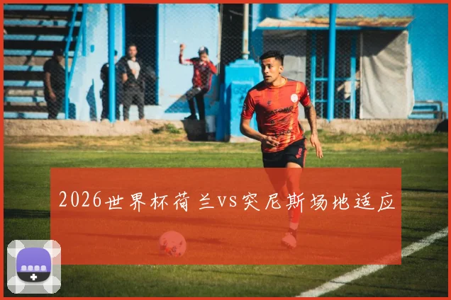 2026世界杯荷兰vs突尼斯场地适应