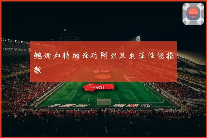 鲍姆加特纳面对阿尔及利亚临场指数