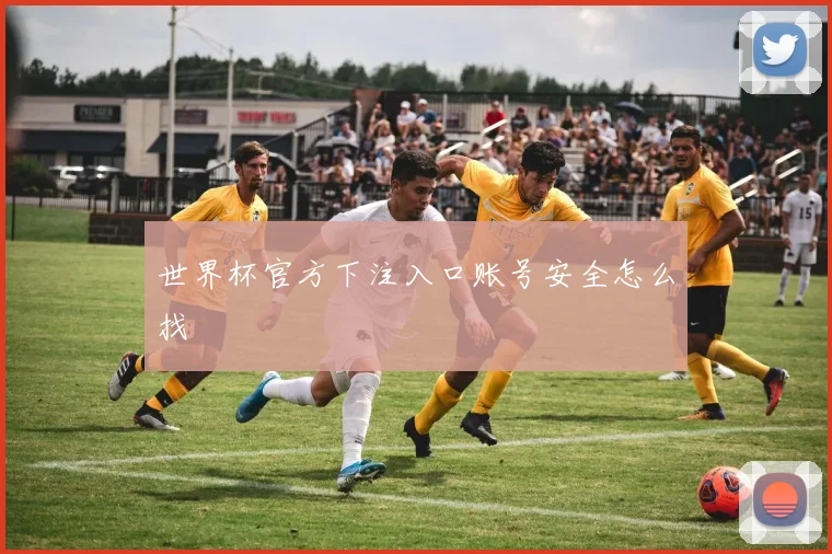 世界杯官方下注入口账号安全怎么找