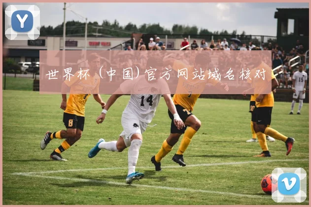 世界杯 (中国)官方网站域名核对