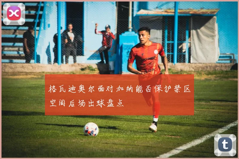 格瓦迪奥尔面对加纳能否保护禁区空间后场出球盘点